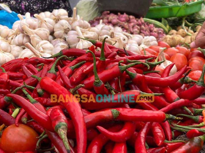 Harga Sembako di Bali Masih Melejit, Cabai Besar Naik hingga Rp10 Ribu Harga Sembako di Bali Masih Melejit, Cabai Besar Naik hingga Rp10 Ribu
