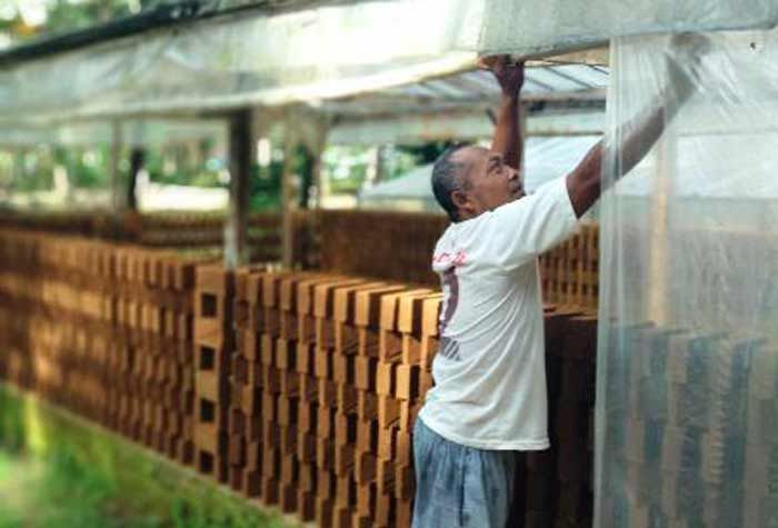 Perajin Bata di Pacitan Kembang Kempis, Terhimpit Peraturan Perajin Bata di Pacitan Kembang Kempis, Terhimpit Peraturan