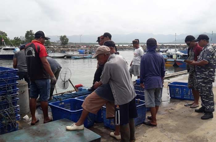 Musim Baratan, Hasil Tangkapan Ikan Nelayan di Pacitan Merosot