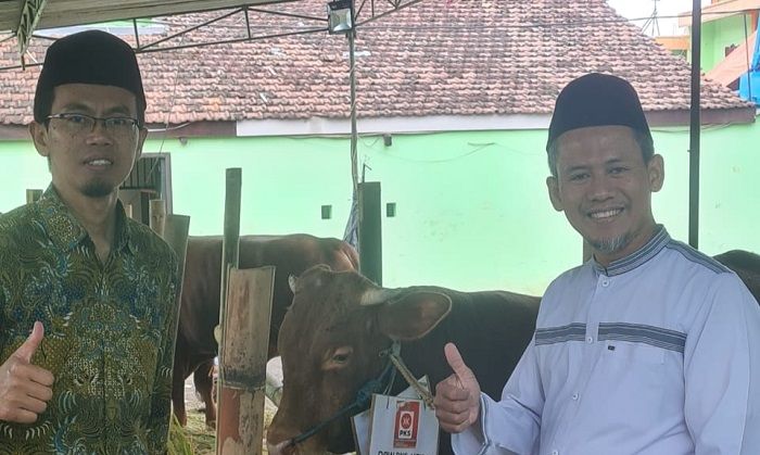 Serahkan Sapi Kurban untuk PWNU dan PWM, Ketua PKS Jatim: Dawuh Kiai, ini Wujud Kesatuan Umat Serahkan Sapi Kurban untuk PWNU dan PWM, Ketua PKS Jatim: Dawuh Kiai, ini Wujud Kesatuan Umat