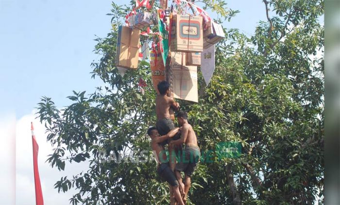 Lomba Panjat Pinang Turut Meriahkan Hari Jadi Trenggalek Lomba Panjat Pinang Turut Meriahkan Hari Jadi Trenggalek