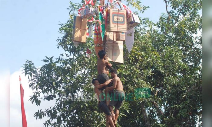 Lomba Panjat Pinang Turut Meriahkan Hari Jadi Trenggalek