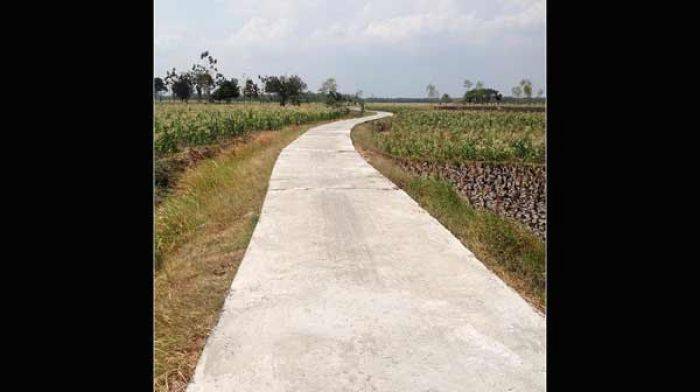 Komitmen Pemkab Lamongan Sejahterakan Petani, Bangun Jalan Usaha Tani Komitmen Pemkab Lamongan Sejahterakan Petani, Bangun Jalan Usaha Tani