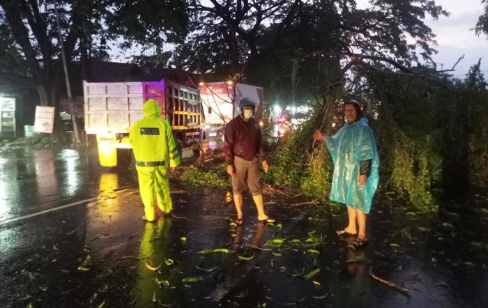 Hujan Lebat Disertai Angin Kencang di Pasuruan, 8 Rumah Rusak dan 1 Pohon Tumbang Hujan Lebat Disertai Angin Kencang di Pasuruan, 8 Rumah Rusak dan 1 Pohon Tumbang