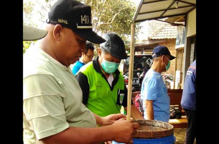Pasuruan Fokus Garap Potensi Sapi Perah untuk Majukan Perekonomian Peternak Pasuruan Fokus Garap Potensi Sapi Perah untuk Majukan Perekonomian Peternak