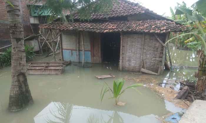 Kali Lamong Kembali Meluap, 6 Desa di Balongpanggang Gresik Terendam Kali Lamong Kembali Meluap, 6 Desa di Balongpanggang Gresik Terendam