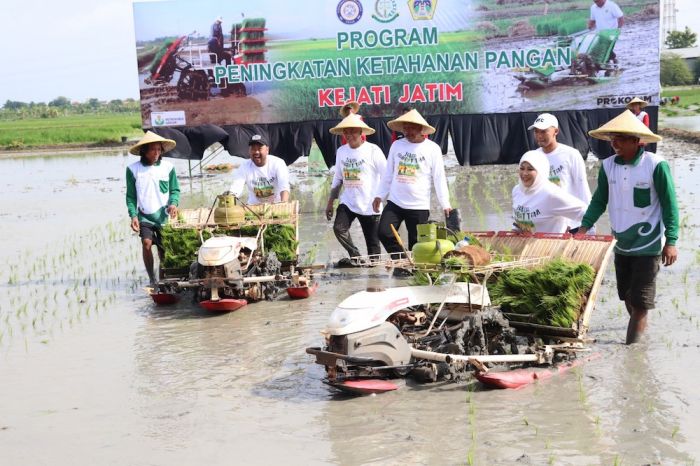 Lewat Program Jaksa Sahabat Tani, Pemkab Gresik, Kejati Jatim dan Petrokimia Dukung Ketahanan Pangan Lewat Program Jaksa Sahabat Tani, Pemkab Gresik, Kejati Jatim dan Petrokimia Dukung Ketahanan Pangan