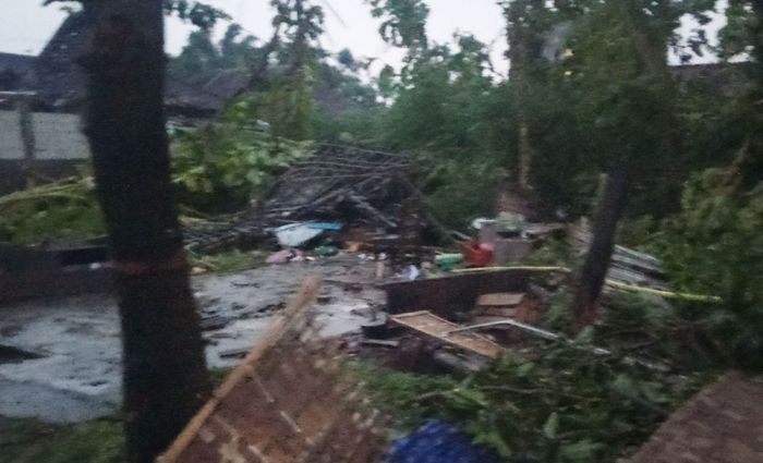 Hujan Deras Disertai Angin Guyur Madiun, Sejumlah Rumah dan Pohon Ambruk