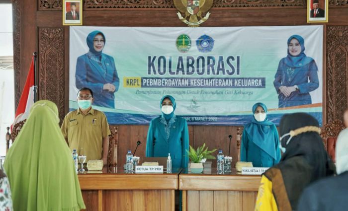 Wujudkan KRPL, PKK Kota Pasuruan Ajak Masyarakat Manfaatkan Lahan Kosong untuk Urban Farming Wujudkan KRPL, PKK Kota Pasuruan Ajak Masyarakat Manfaatkan Lahan Kosong untuk Urban Farming