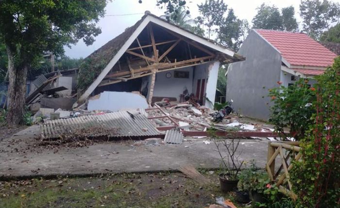 Imbas Angin Kencang dan Hujan Deras di Wilayah Bangil, Belasan Rumah Rusak dan Pohon Tumbang Imbas Angin Kencang dan Hujan Deras di Wilayah Bangil, Belasan Rumah Rusak dan Pohon Tumbang