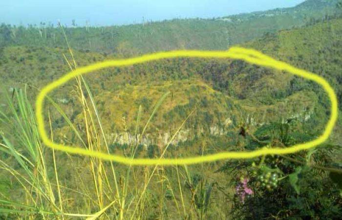 Melihat Gunung Kura-kura di Alas Ongakan Desa Besowo Kediri