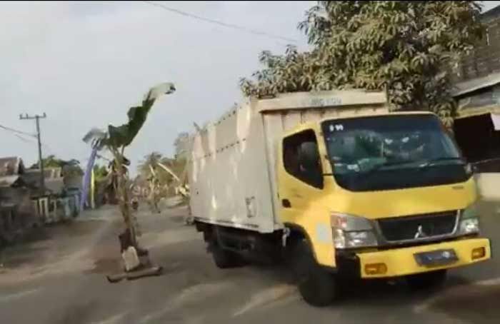 Warga Karangrejo Blitar Tanami Jalan dengan Pohon Pisang Warga Karangrejo Blitar Tanami Jalan dengan Pohon Pisang