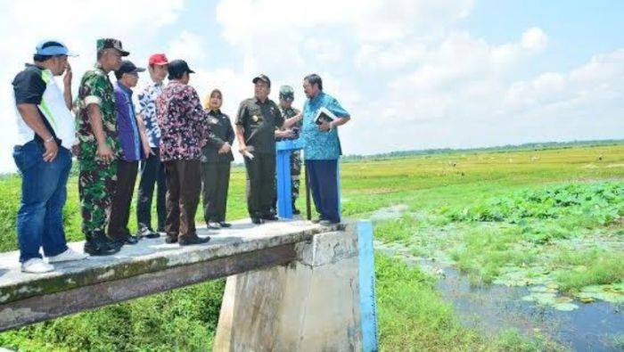 Waduk Rancangkencono Lamongan Dikomersilkan, Dipetak, Disewakan ke Petani Waduk Rancangkencono Lamongan Dikomersilkan, Dipetak, Disewakan ke Petani