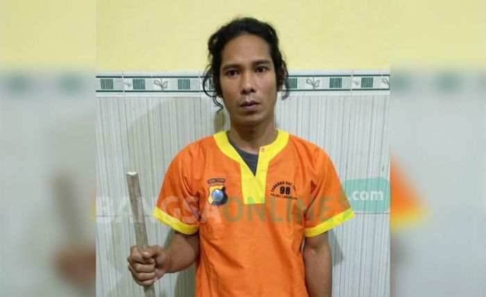 Pukul Kepala Lansia hingga Bocor, Pemuda di Babat Lamongan Diringkus Polisi Pukul Kepala Lansia hingga Bocor, Pemuda di Babat Lamongan Diringkus Polisi