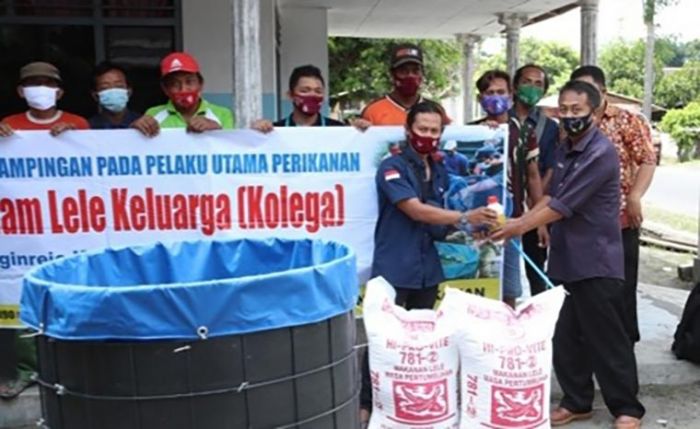 Dinas Perikanan Serahkan Kolega di Desa Ringinrejo Dinas Perikanan Serahkan Kolega di Desa Ringinrejo