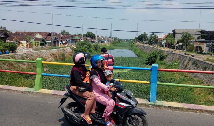 Ratusan Ton Eceng Gondok Bakal Sumbat Kali Sadar, Mojokerto Dalam Bahaya