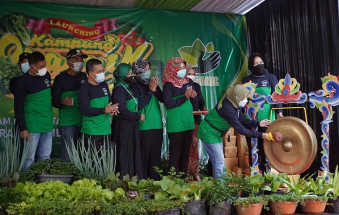 Wali Kota Batu Resmikan Kampung Organik di Desa Mojorejo Wali Kota Batu Resmikan Kampung Organik di Desa Mojorejo