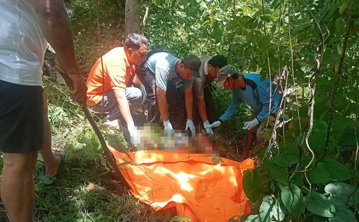 Temuan Mayat Pria Tanpa Identitas di Tengah Hutan Gegerkan Warga Jombang Temuan Mayat Pria Tanpa Identitas di Tengah Hutan Gegerkan Warga Jombang