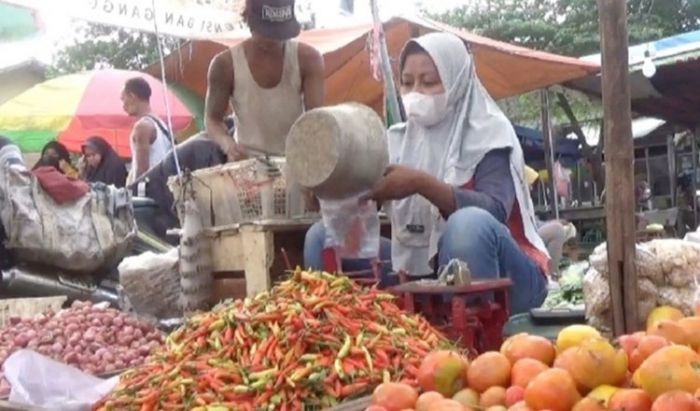 Siasati Harga Cabai yang Semakin 