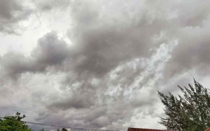 Cuaca Situbondo Hari ini Selasa, 14 Januari 2025: Diperkirakan Berawan dengan Suhu 23-31 °C Cuaca Situbondo Hari ini Selasa, 14 Januari 2025: Diperkirakan Berawan dengan Suhu 23-31 °C