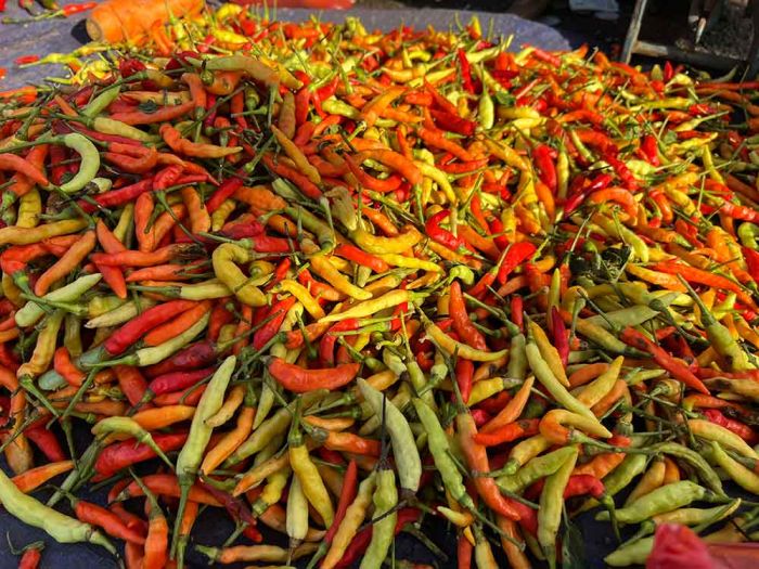 Update Harga Sembako Jatim Selasa 27 Mei 2025: Cabai Rawit Rp23.820/kg, Beras Medium Rp12.538/kg Update Harga Sembako Jatim Selasa 27 Mei 2025: Cabai Rawit Rp23.820/kg, Beras Medium Rp12.538/kg