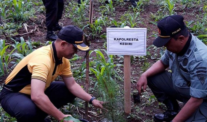 Peduli Penghijauan, Polres Kediri Kota Tanam 5.500 Pohon Pinus