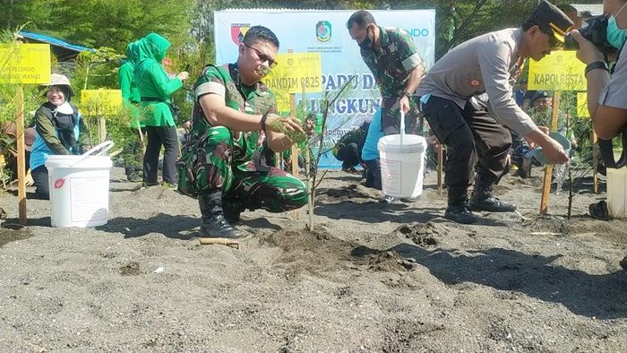 Cegah Abrasi Pantai Cemara, Kodim 0825 Banyuwangi Gandeng Pelindo Tanam 5.000 Cemara dan Mangrove