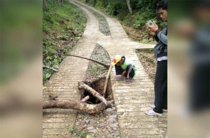 Fenomena Jalan Ambles Kembali Terjadi di Pacitan