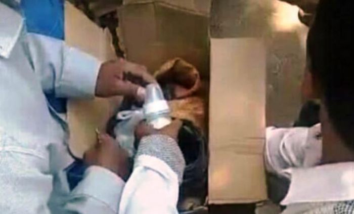 Warga Mandung Bangkalan Temukan Bayi di Kardus Warga Mandung Bangkalan Temukan Bayi di Kardus