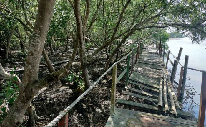 Tutup karena Pandemi Covid-19, Fasilitas Wisata Mangrove Bancaran Rusak