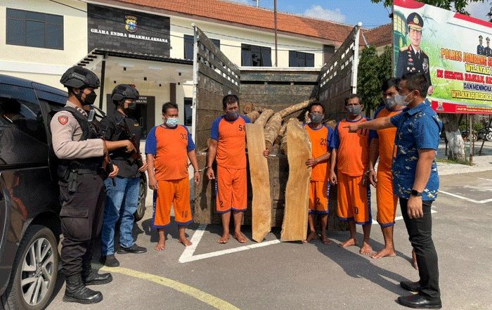 Gasak Ratusan Kayu Jati di Wonosalam Jombang, 7 Orang Diringkus Polisi Gasak Ratusan Kayu Jati di Wonosalam Jombang, 7 Orang Diringkus Polisi