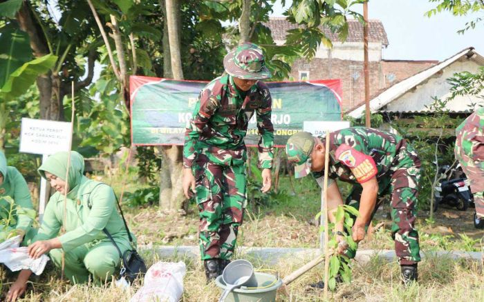 Wujudkan Ketahanan Pangan Lokal, Dandim 0816 Sidoarjo Tanam Padi dan Bibit Pohon pada TMMD ke-120 Wujudkan Ketahanan Pangan Lokal, Dandim 0816 Sidoarjo Tanam Padi dan Bibit Pohon pada TMMD ke-120