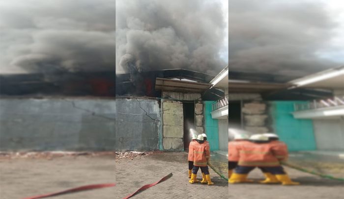Dua Gudang Alat Elektronik dan Sandal di Margomulyo Surabaya Ludes Terbakar Dua Gudang Alat Elektronik dan Sandal di Margomulyo Surabaya Ludes Terbakar