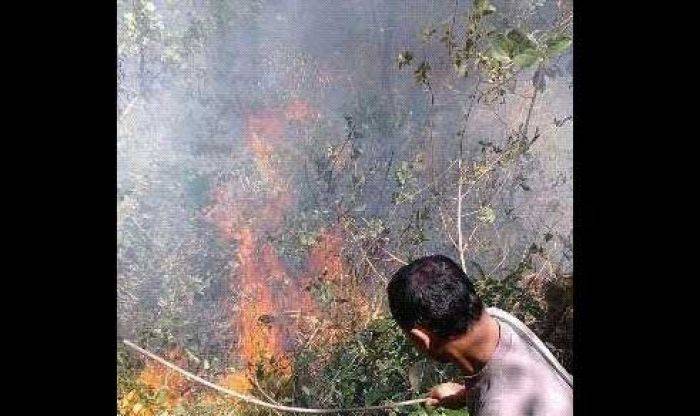 6 Pendaki Gunung Lawu Tewas Terbakar, BNPB: Kebakaran Akibat Api Unggun