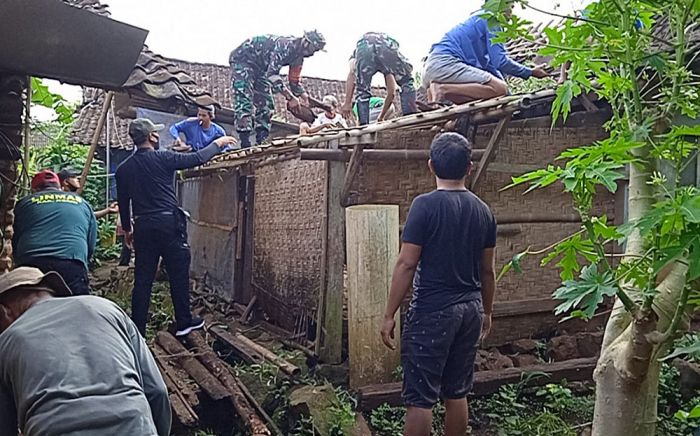 Akibat Hujan Deras, Rumah Warga Ngawi Tertimpa Pohon Tumbang