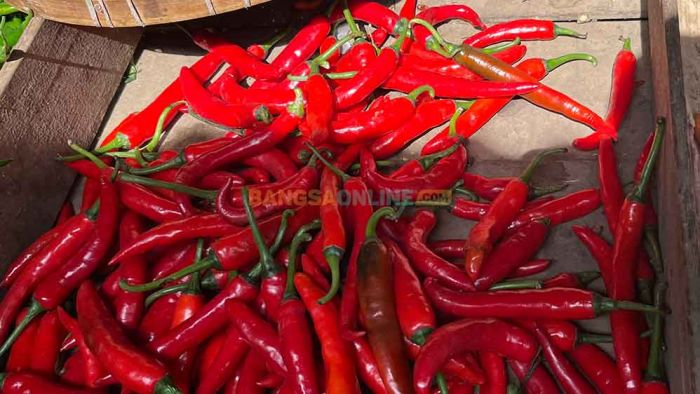Fluktuasi Harga Sembako Surabaya Jelang Lebaran: Cabai Besar Merangkak Naik, Rawit dan Daging Turun