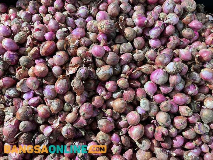 Daftar Harga Sembako Surabaya Kamis 16 Oktober 2025, Bawang Merah Naik Rp1 Ribu Daftar Harga Sembako Surabaya Kamis 16 Oktober 2025, Bawang Merah Naik Rp1 Ribu