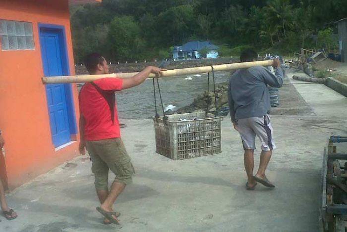 Stok Ikan Minim, Nelayan Pilih Jual Keluar Daerah