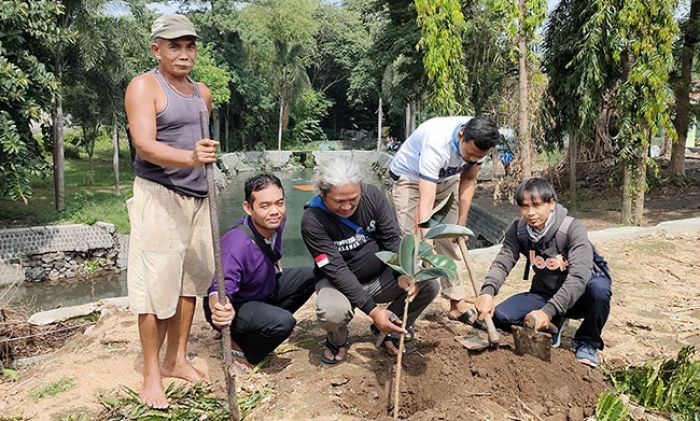 Gantikan Pohon yang Tumbang, EPPI Kediri Tanam Karet Kebo Merah di Sumber Kweden Gantikan Pohon yang Tumbang, EPPI Kediri Tanam Karet Kebo Merah di Sumber Kweden