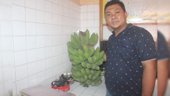 Baru Sebulan Keluar Penjara, Residivis di Ngawi Babak Belur Dihajar Warga Akibat Curi Pisang