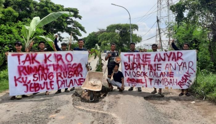 Jalan Rusak, Sejumlah Pemuda di Desa Sumberejo Gresik Tanam Pohon Pisang di Tengah Jalan Jalan Rusak, Sejumlah Pemuda di Desa Sumberejo Gresik Tanam Pohon Pisang di Tengah Jalan