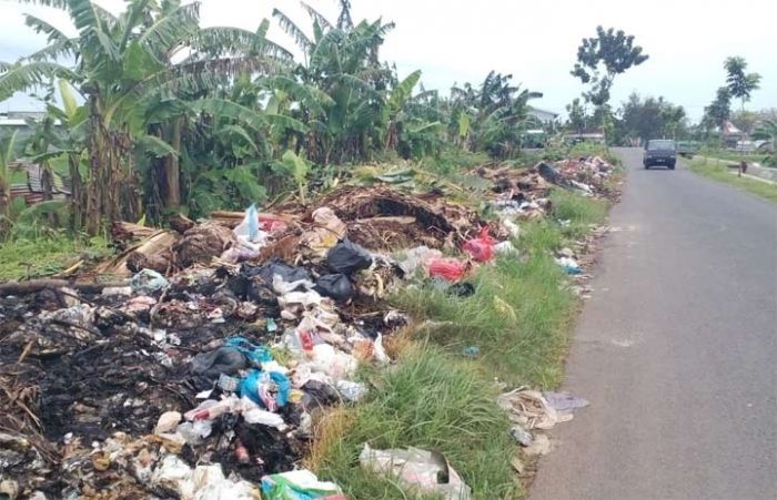 Warga Tuban Resah Adanya Tumpukan Sampah Menggunung Disertai Bau Busuk di Pinggiran Jalan