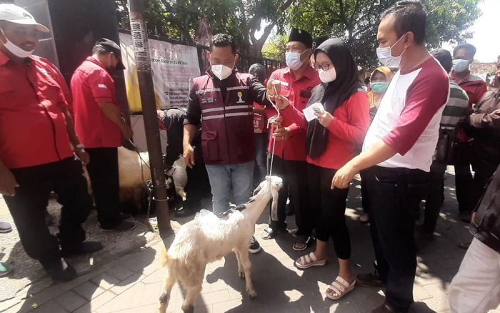 Ketua PDIP Gresik Gelar Vaksin Berhadiah 5 Ekor Kambing Ketua PDIP Gresik Gelar Vaksin Berhadiah 5 Ekor Kambing