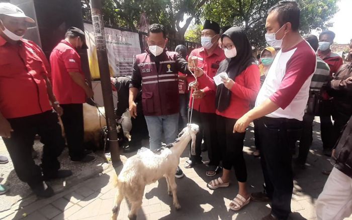 Ketua PDIP Gresik Gelar Vaksin Berhadiah 5 Ekor Kambing