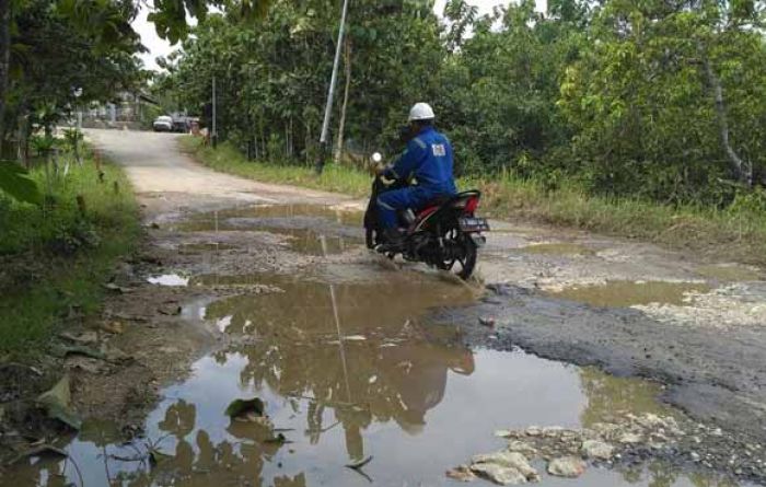 Jalan Semakin Rusak, Warga Desa Banyuurip, Senori Pertanyakan CSR PT. GCI