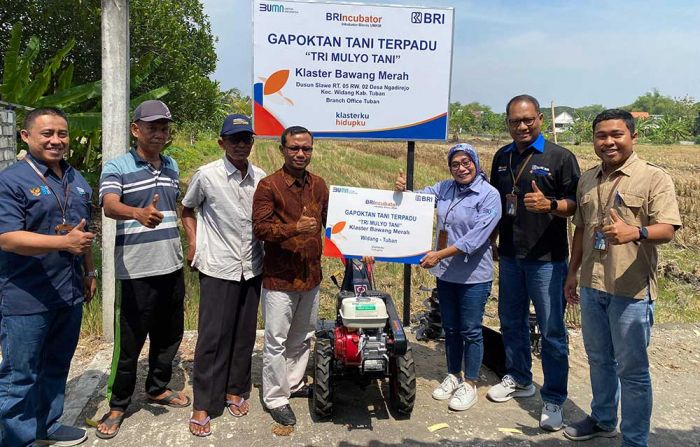 Petani Bawang Merah di Tuban Bersyukur Dapat Bantuan Traktor Khusus Petani Bawang Merah di Tuban Bersyukur Dapat Bantuan Traktor Khusus