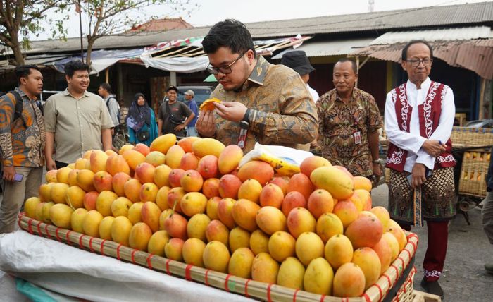 Pesan Bupati Kediri Petani Mangga Podang: Jangan Dibooster