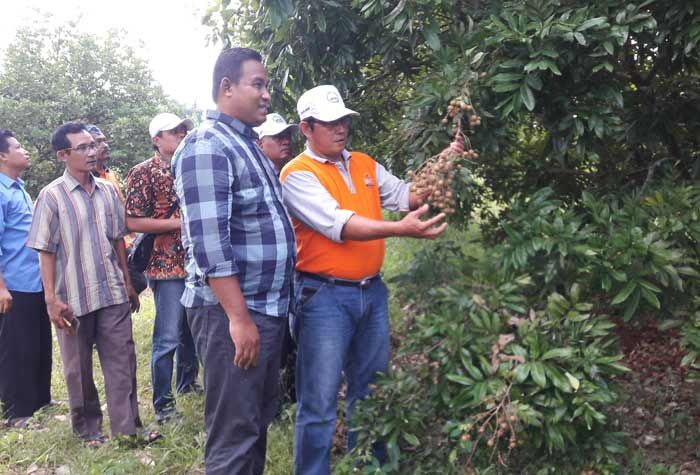 Pengembangan Wisata di Pangkahwetan Butuh Campur Tangan Pemerintah Pengembangan Wisata di Pangkahwetan Butuh Campur Tangan Pemerintah