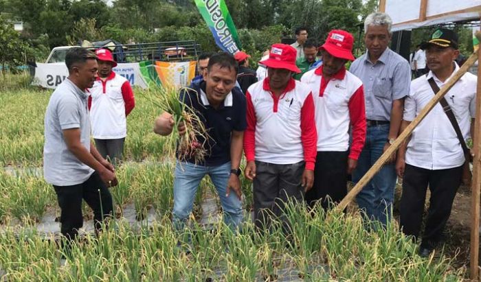 Petrokimia Gresik Dukung Kementan Dalam Penggunaan Pupuk Organik