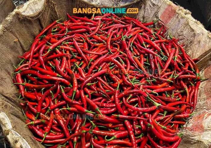 Jelang Tahun Baru 2026 Harga Sembako di Jateng Alami Banyak Penurunan, Cabai Besar Merosot Tajam